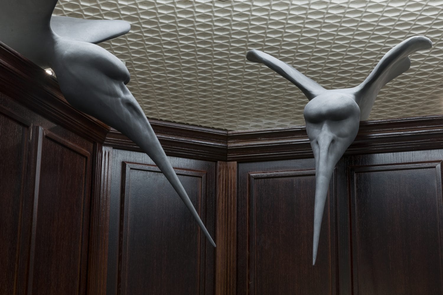 Two long-beaked birds perched on the panelling, coffered ceiling behind